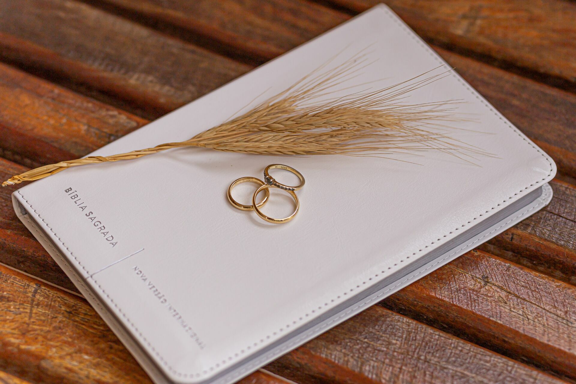 Foto JANINEE & VICTOR | THE WEDDING DAY | RECANTO DO ELEFANTE Foto JANINEE & VICTOR | THE WEDDING DAY | RECANTO DO ELEFANTE - Imagem 11