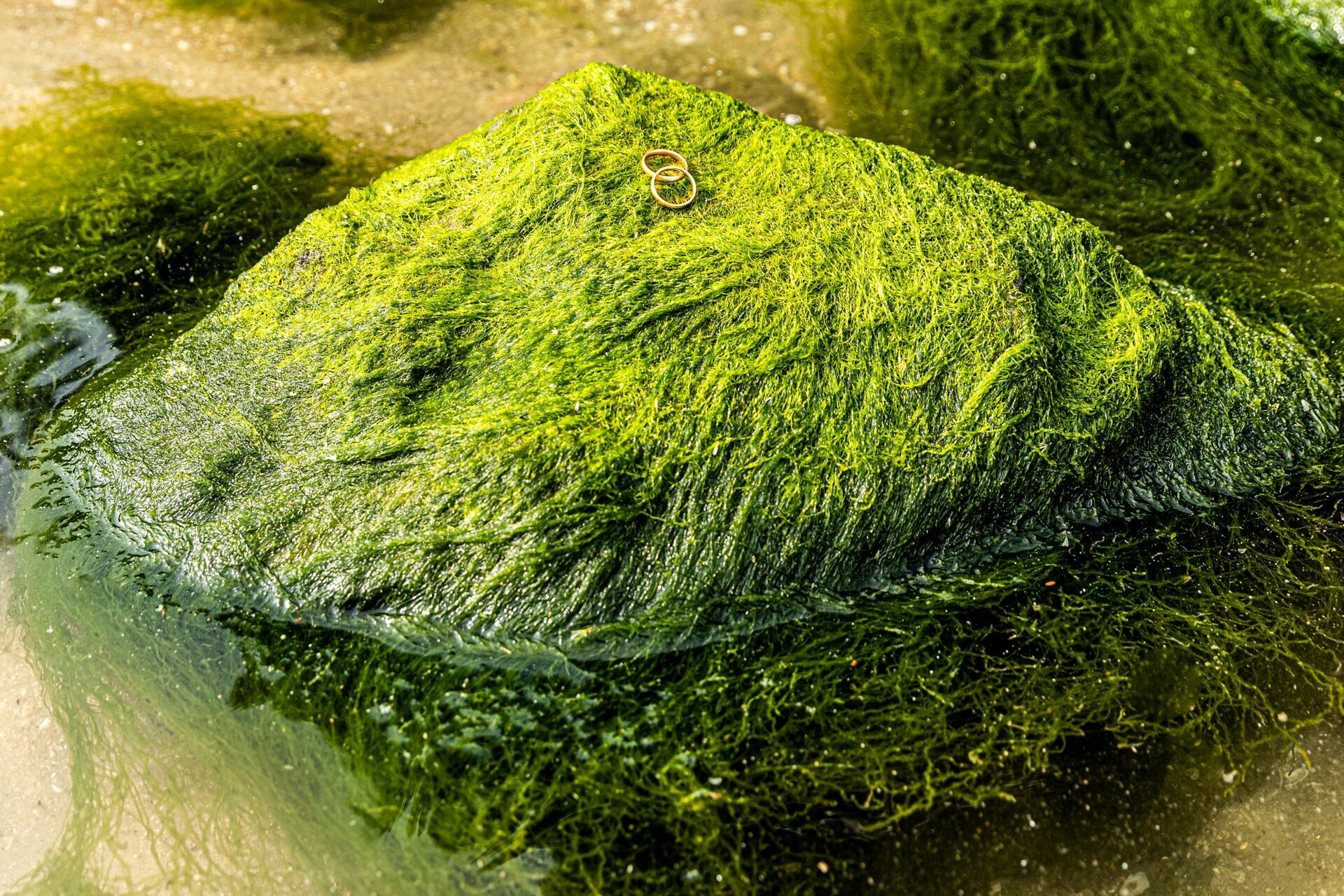 Foto THAINA & OTÁVIO | ENSAIO NA PRAIA - Imagem 14