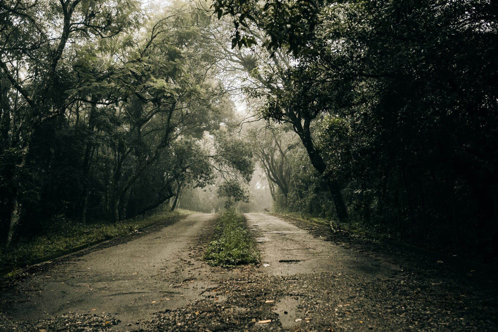 Foto INGRID & NICOLAS | ENSAIO NO PICO | MARIPORÃ - Imagem 0